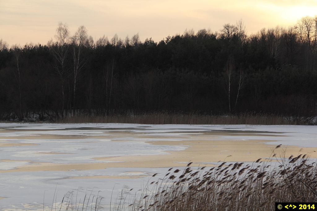 Foto nr: 471