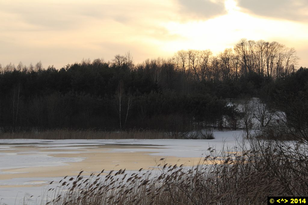 Foto nr: 476