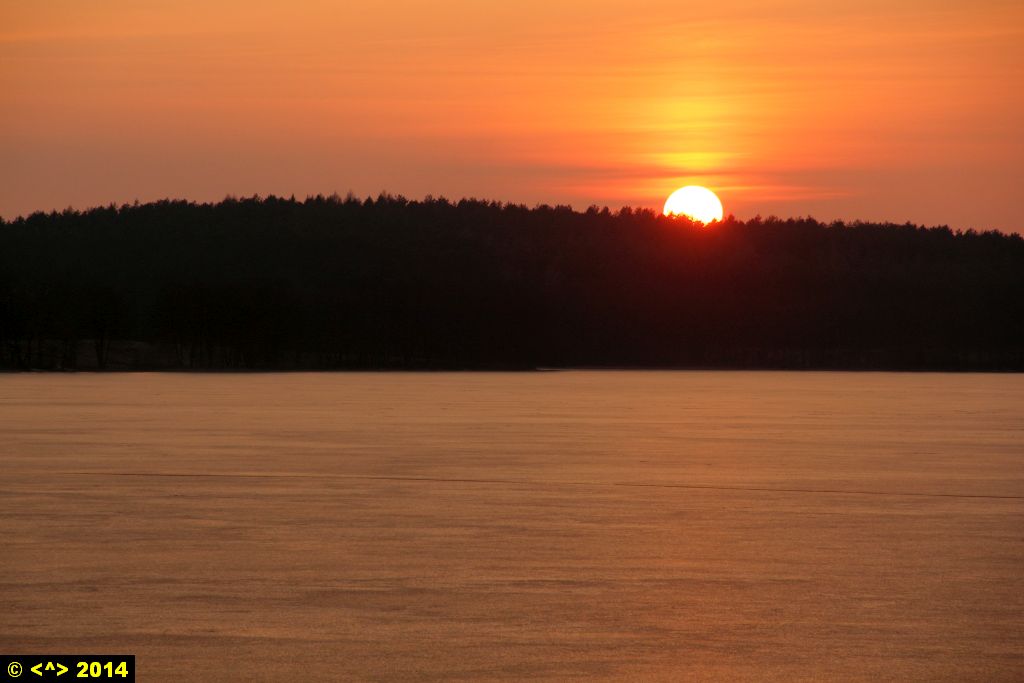 Foto nr: 479