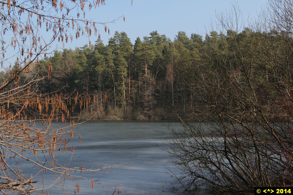 Foto nr: 481