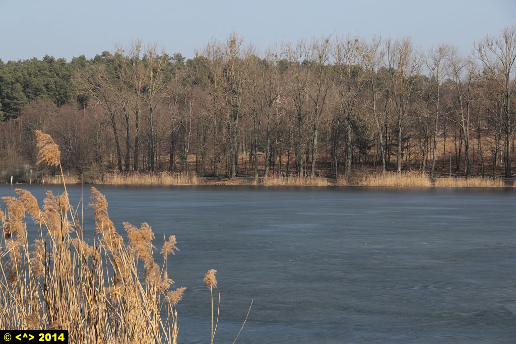 Foto nr: 484