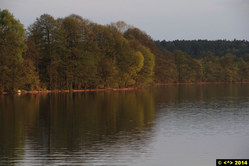 Foto nr: 504