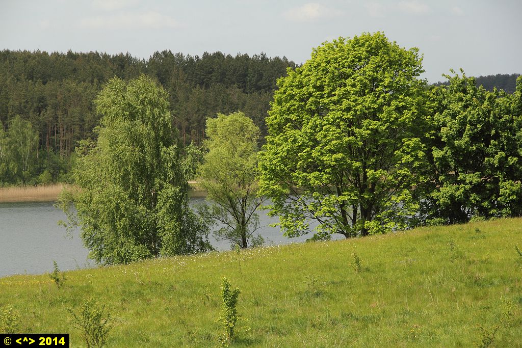 Foto nr: 508