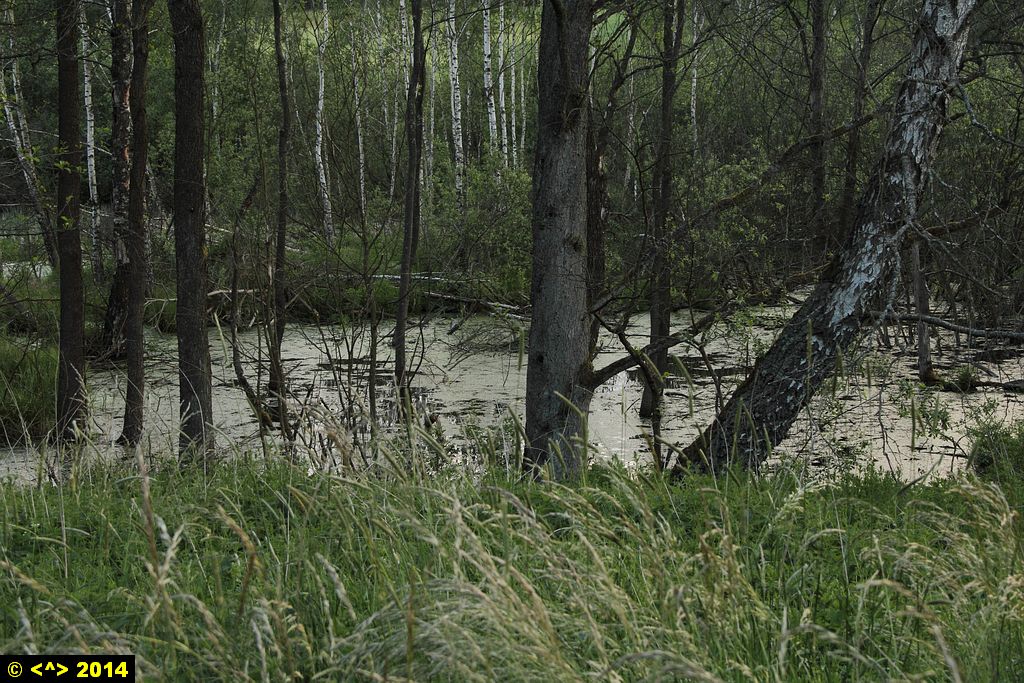 Foto nr: 512