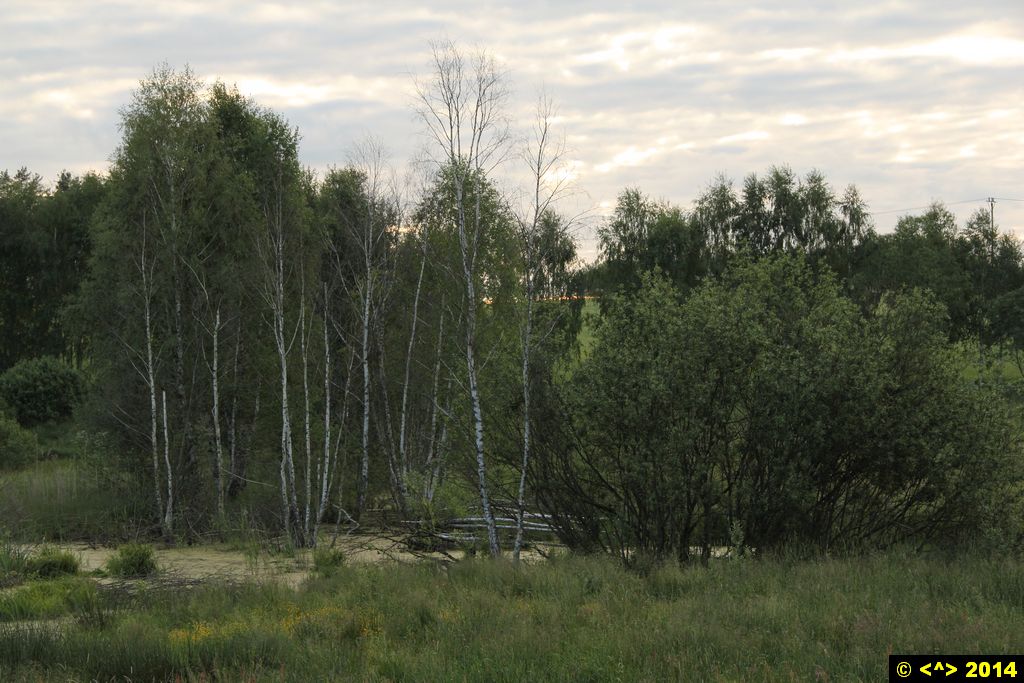 Foto nr: 515