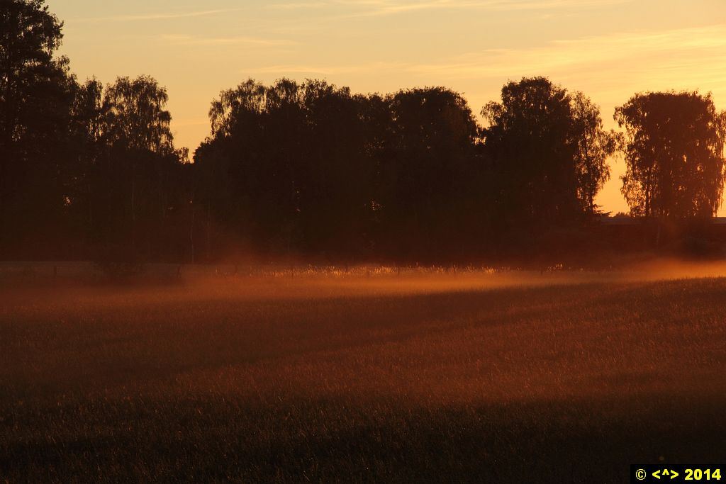 Foto nr: 538