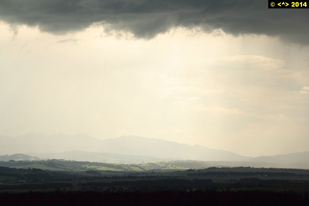 Foto nr: 545