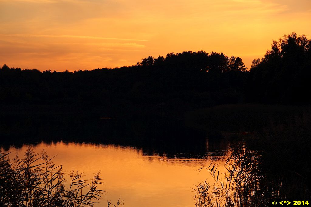 Foto nr: 568