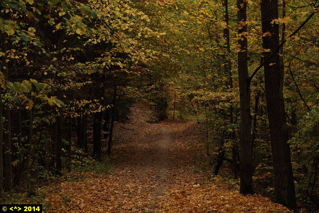 Foto nr: 573