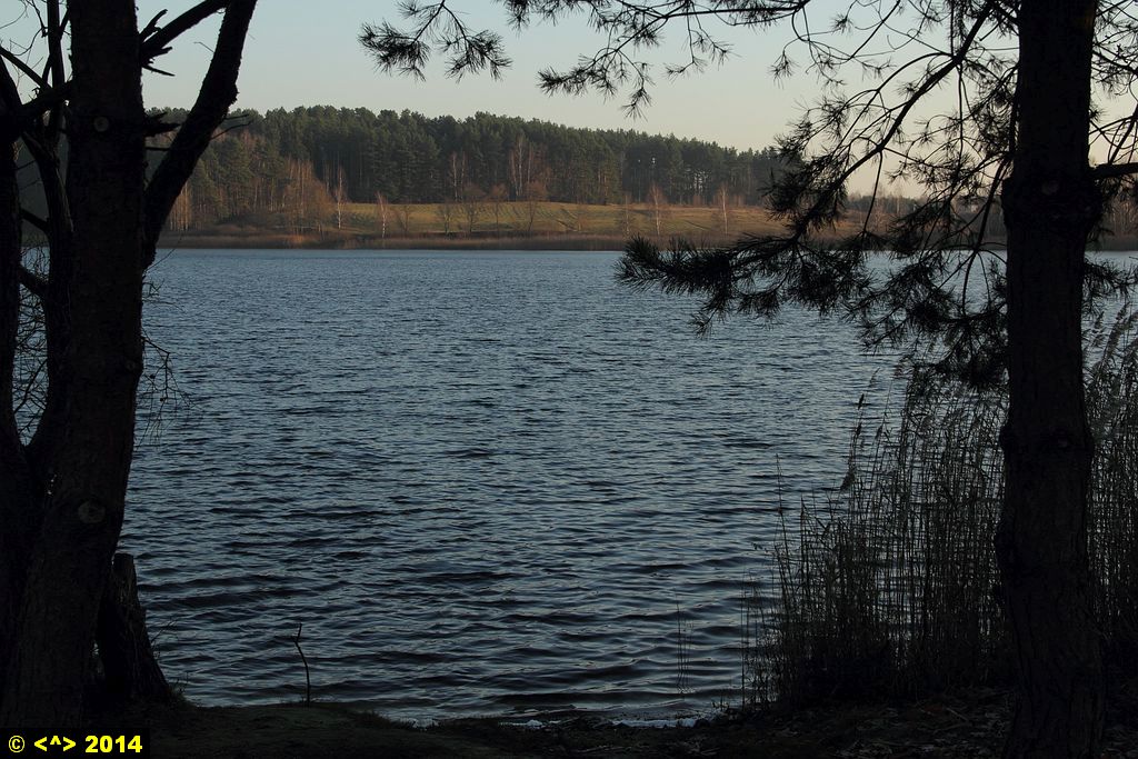 Foto nr: 589