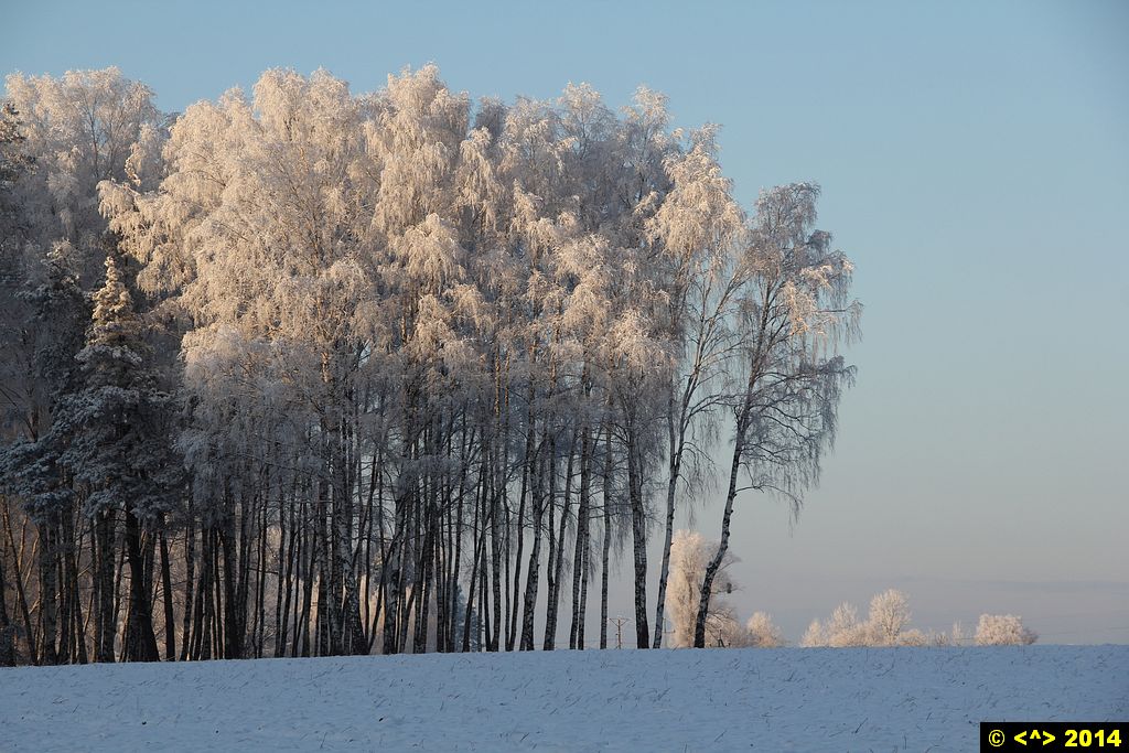 Foto nr: 593