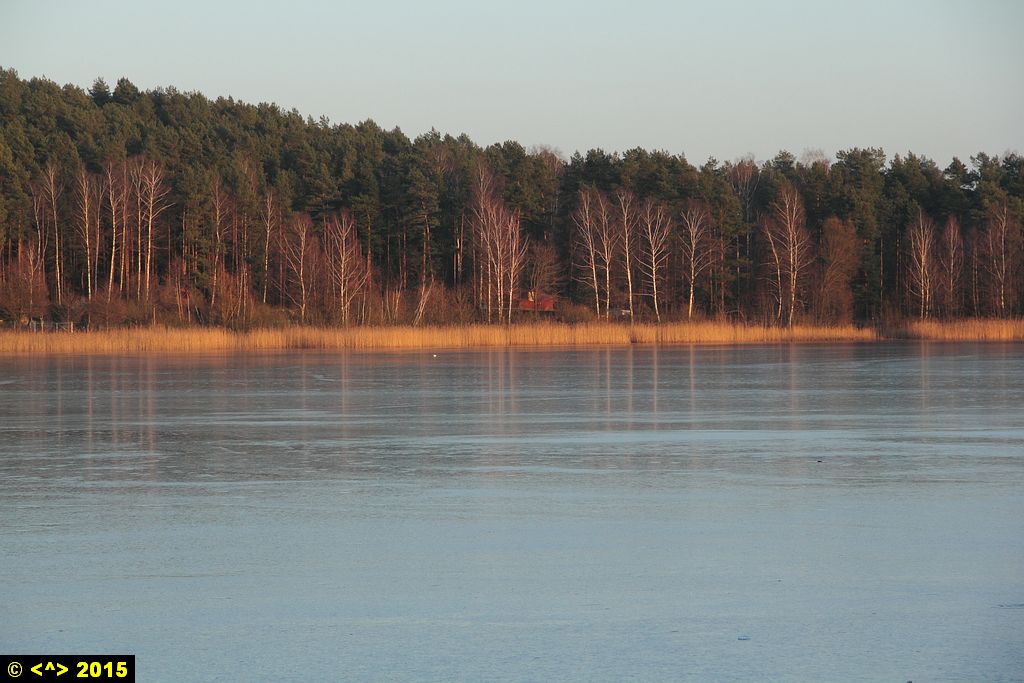 Foto nr: 599