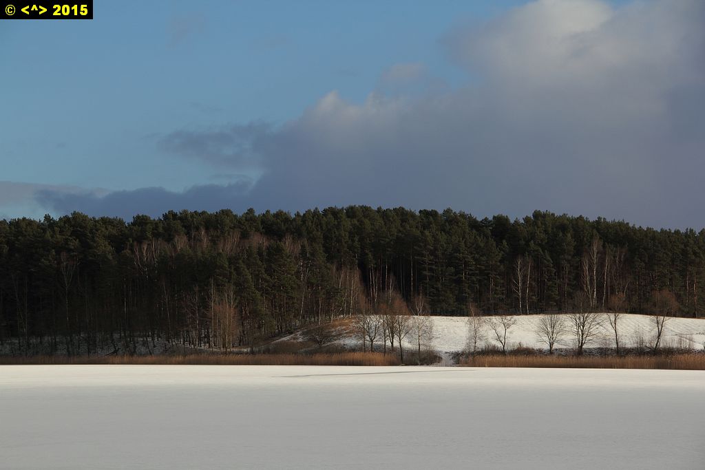 Foto nr: 602