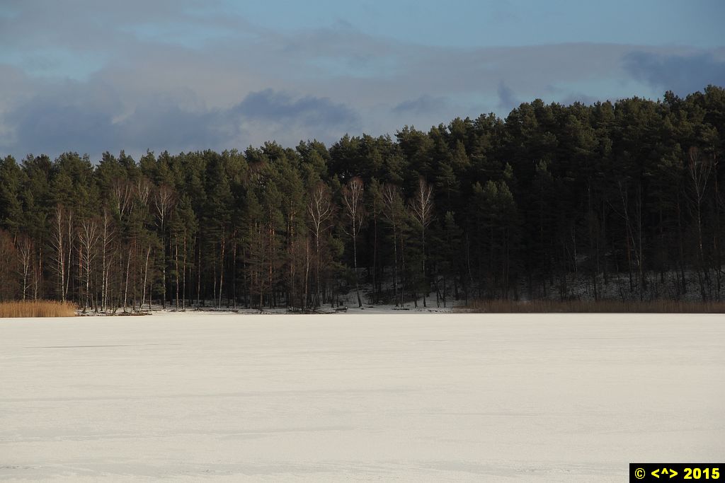 Foto nr: 608