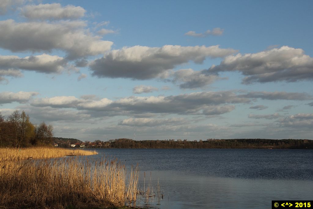 Foto nr: 614