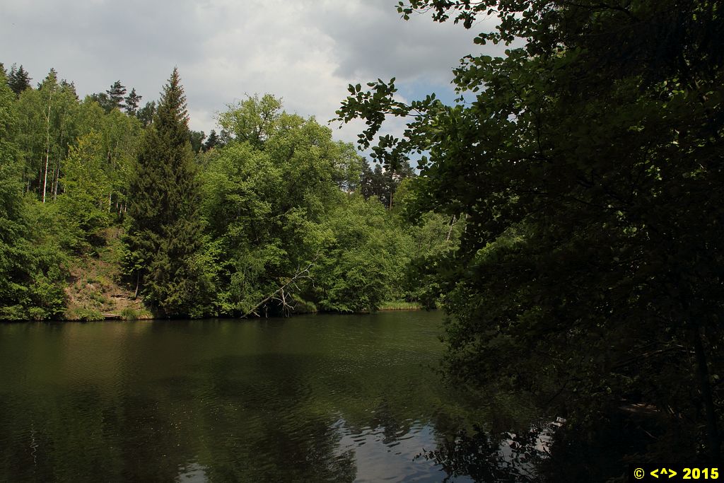 Foto nr: 625