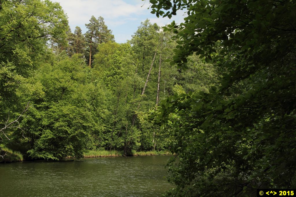 Foto nr: 630