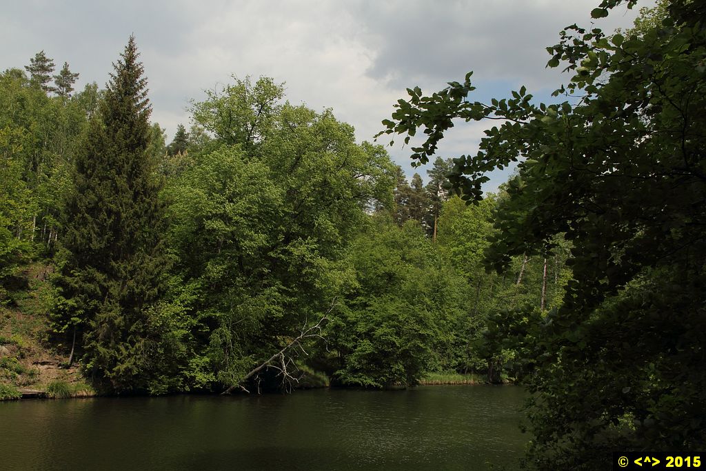 Foto nr: 635