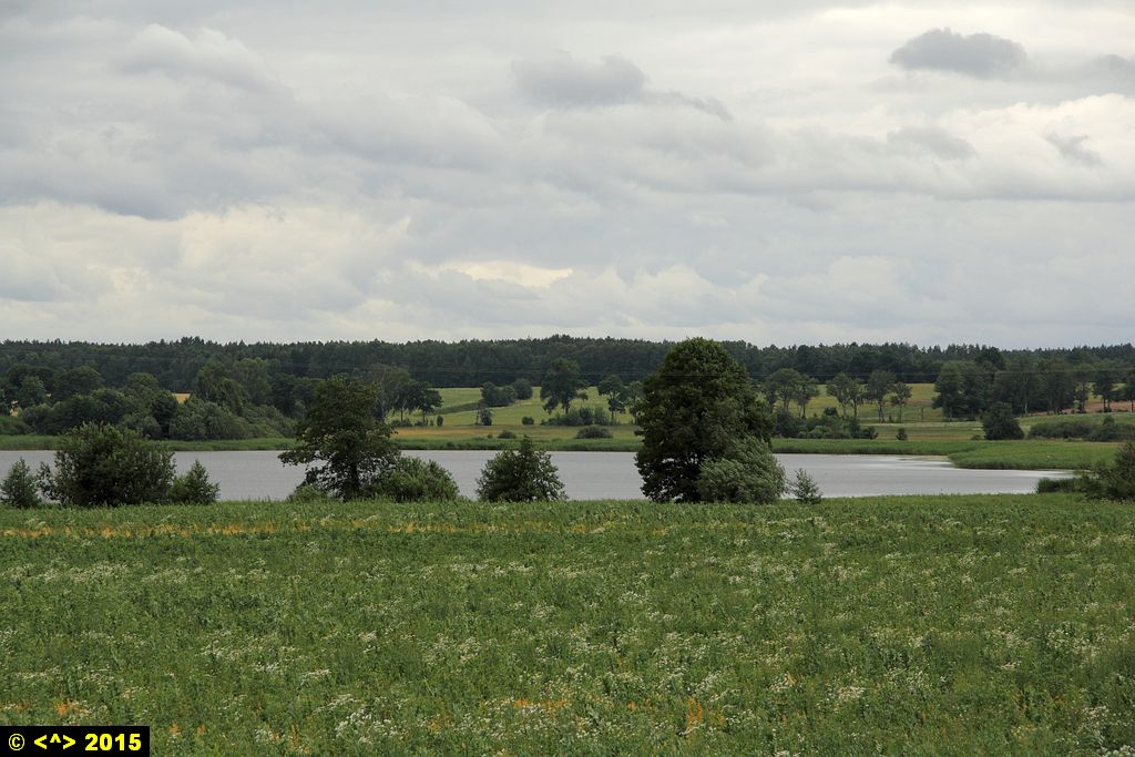 Foto nr: 638