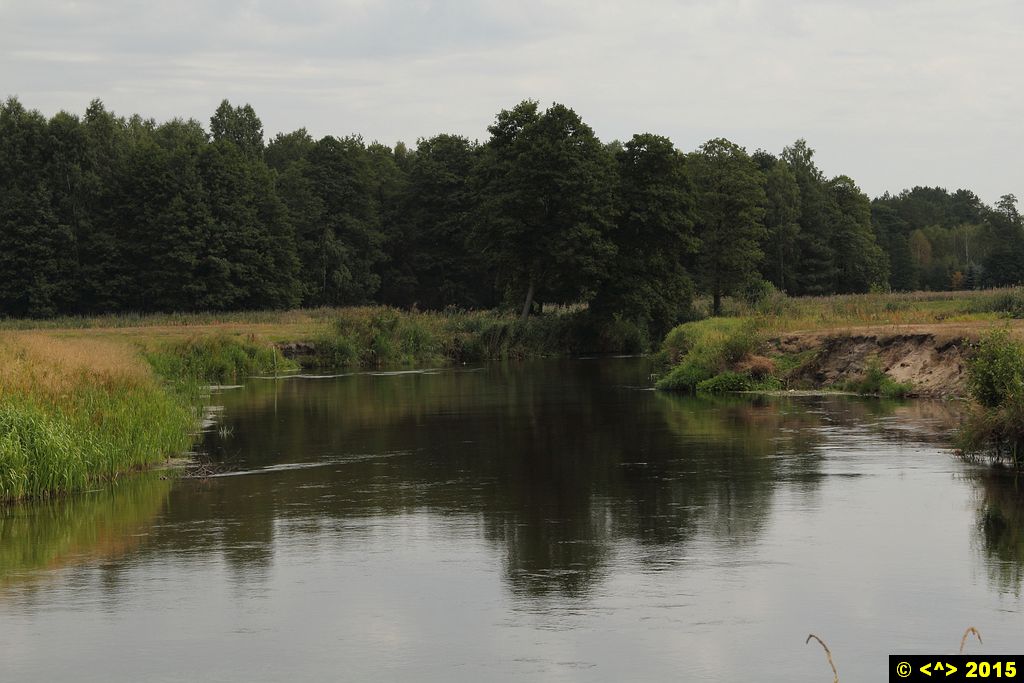 Foto nr: 650