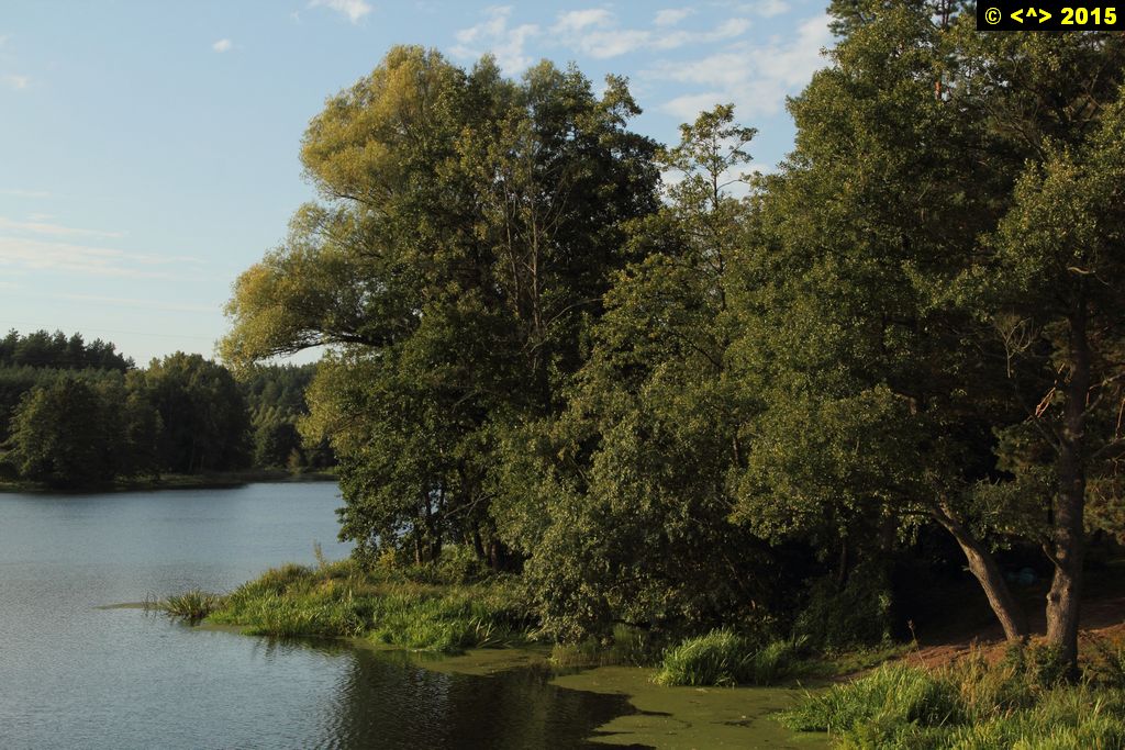 Foto nr: 669