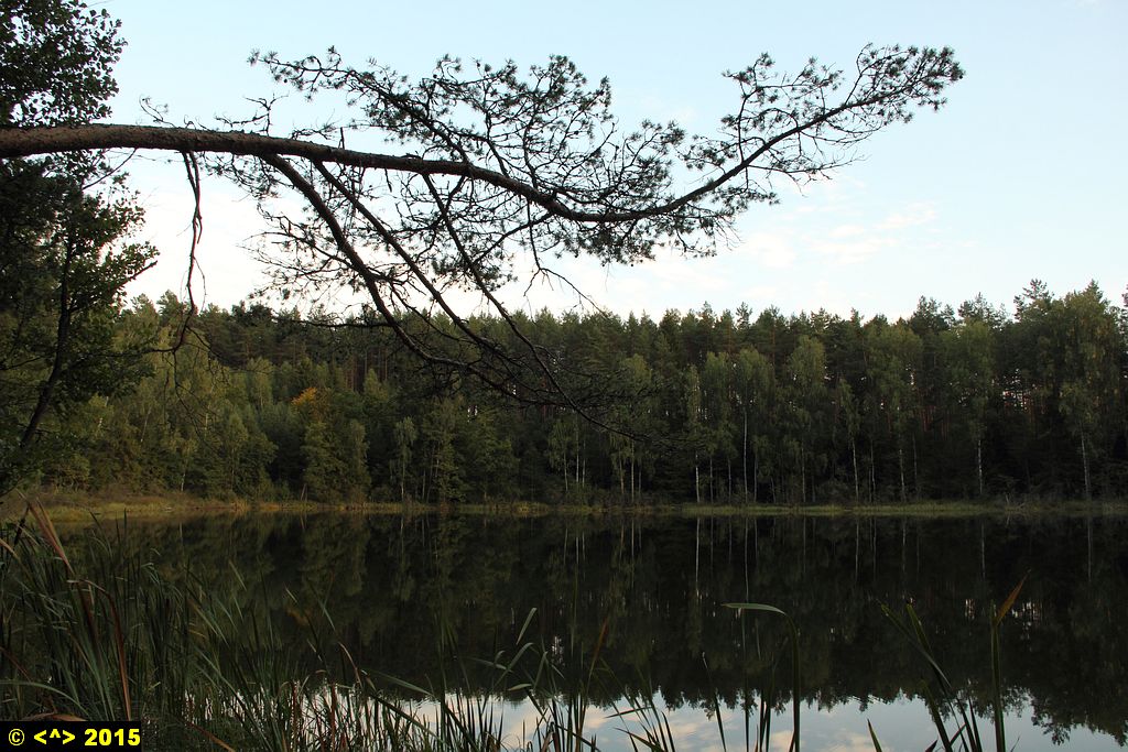 Foto nr: 673