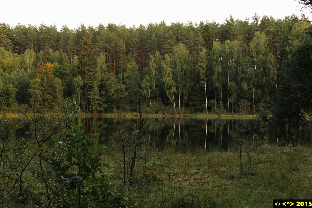 Foto nr: 674