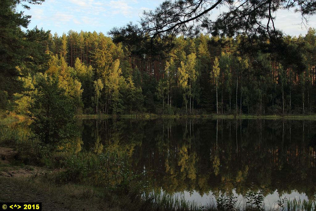 Foto nr: 676