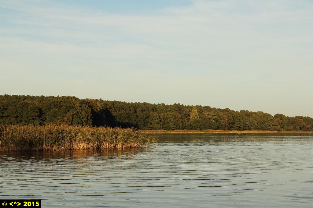 Foto nr: 678