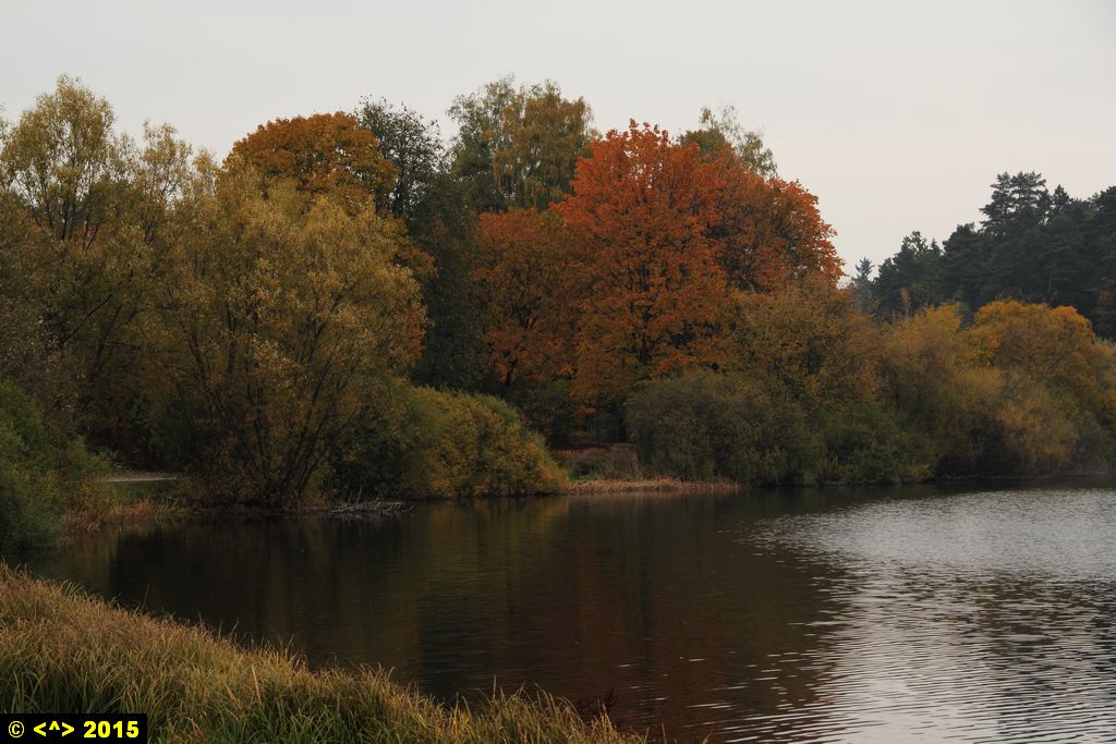 Foto nr: 679