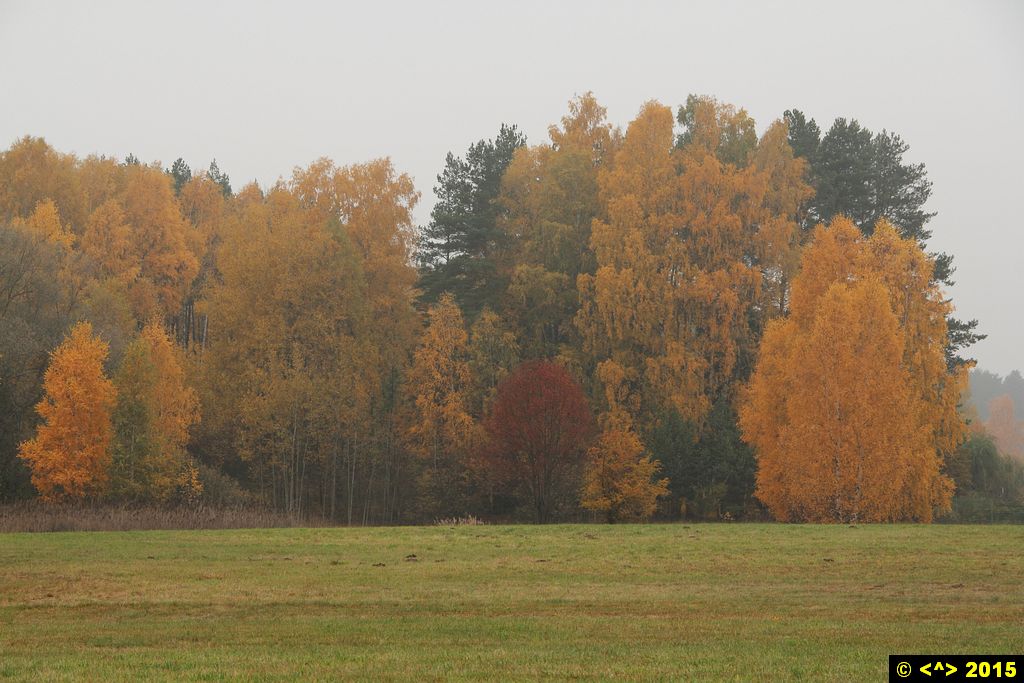 Foto nr: 680