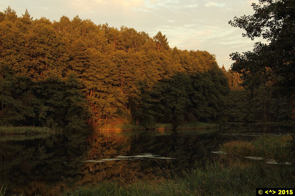 Foto nr: 683