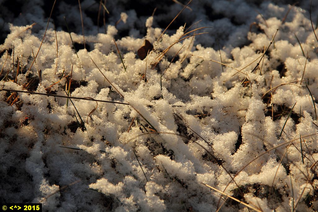 Foto nr: 689