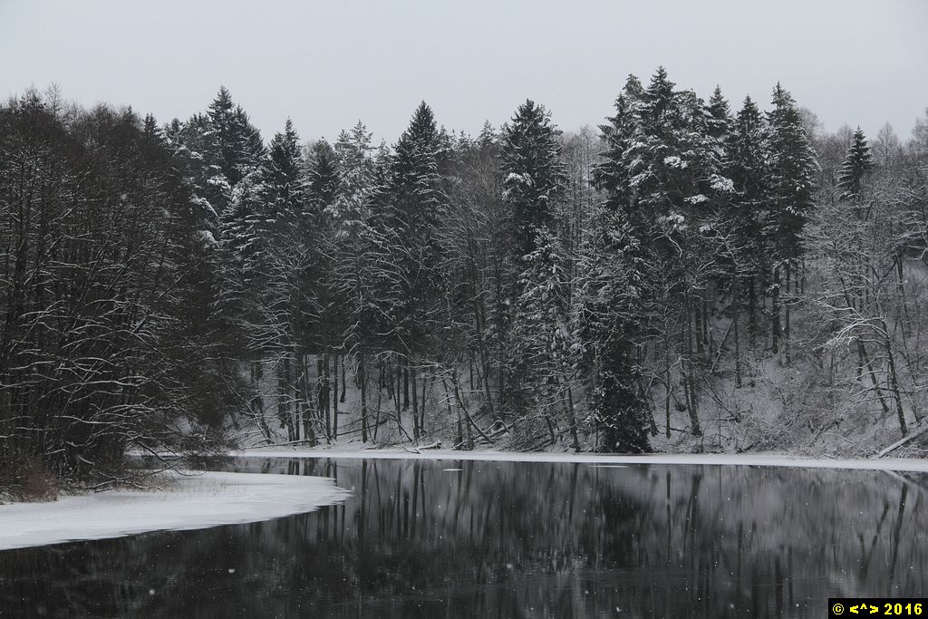 Foto nr: 698
