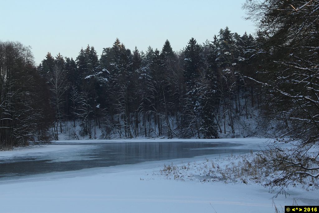 Foto nr: 699