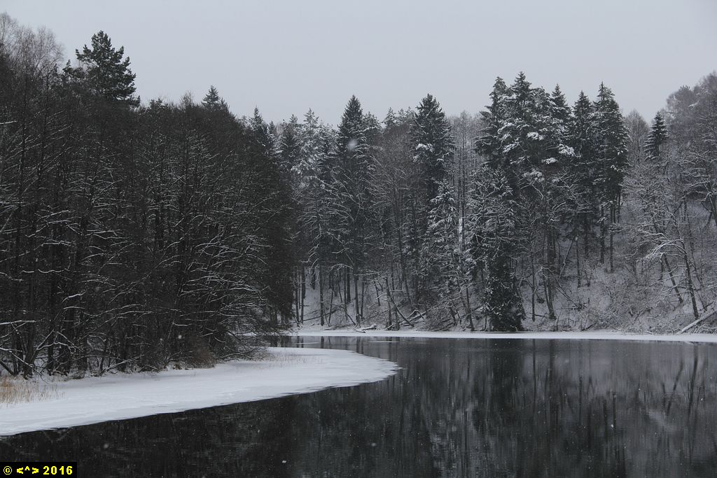 Foto nr: 702
