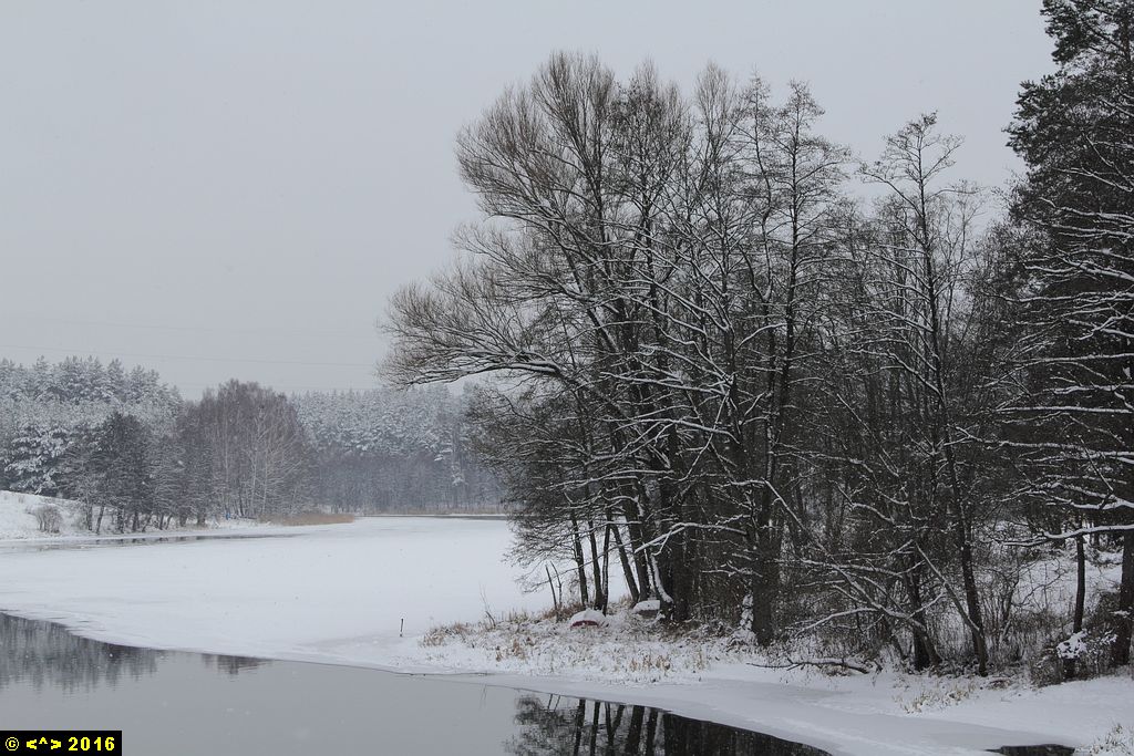 Foto nr: 703