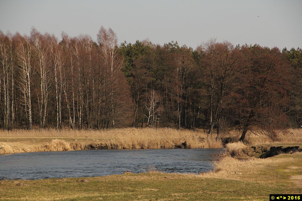 Foto nr: 712
