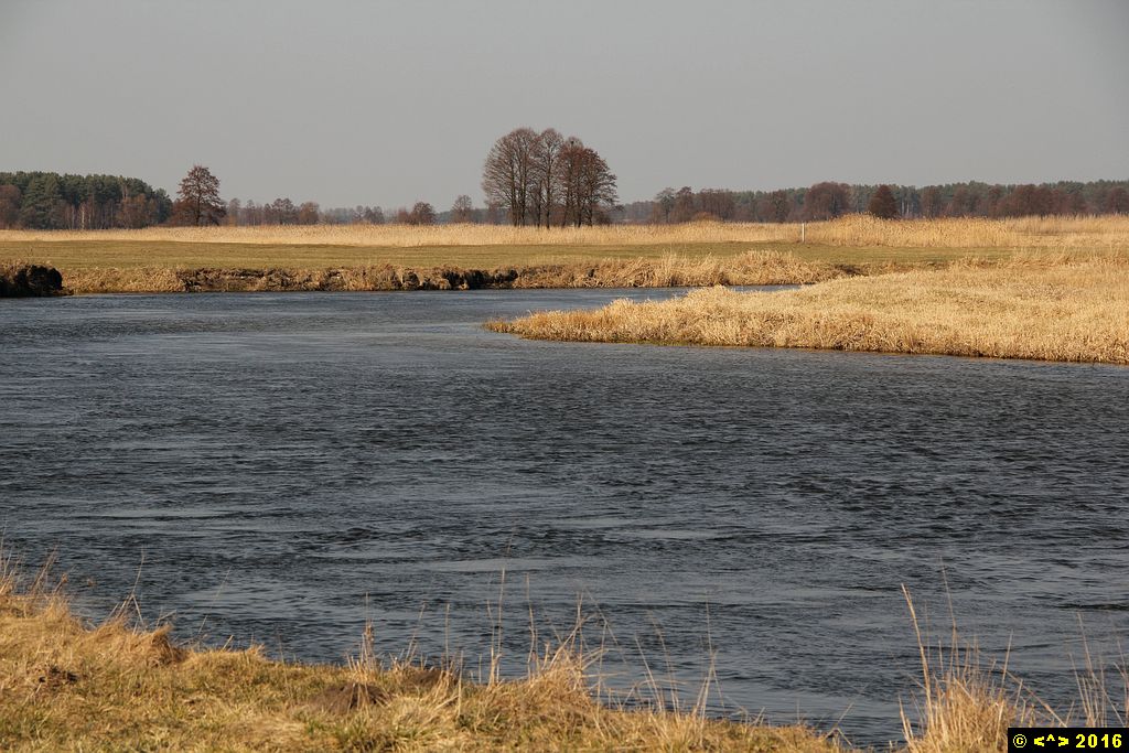 Foto nr: 713