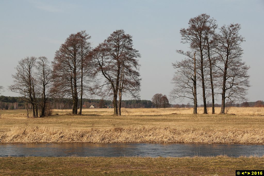 Foto nr: 714
