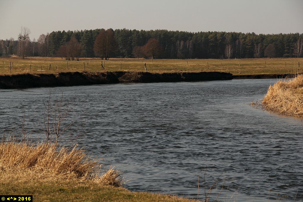 Foto nr: 718