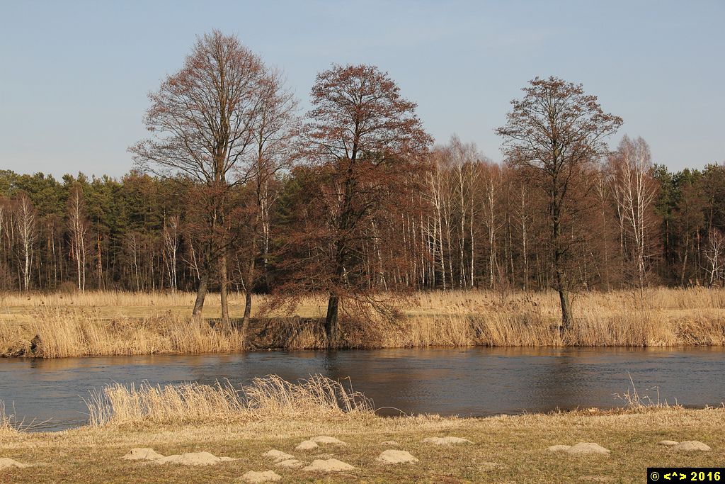 Foto nr: 719