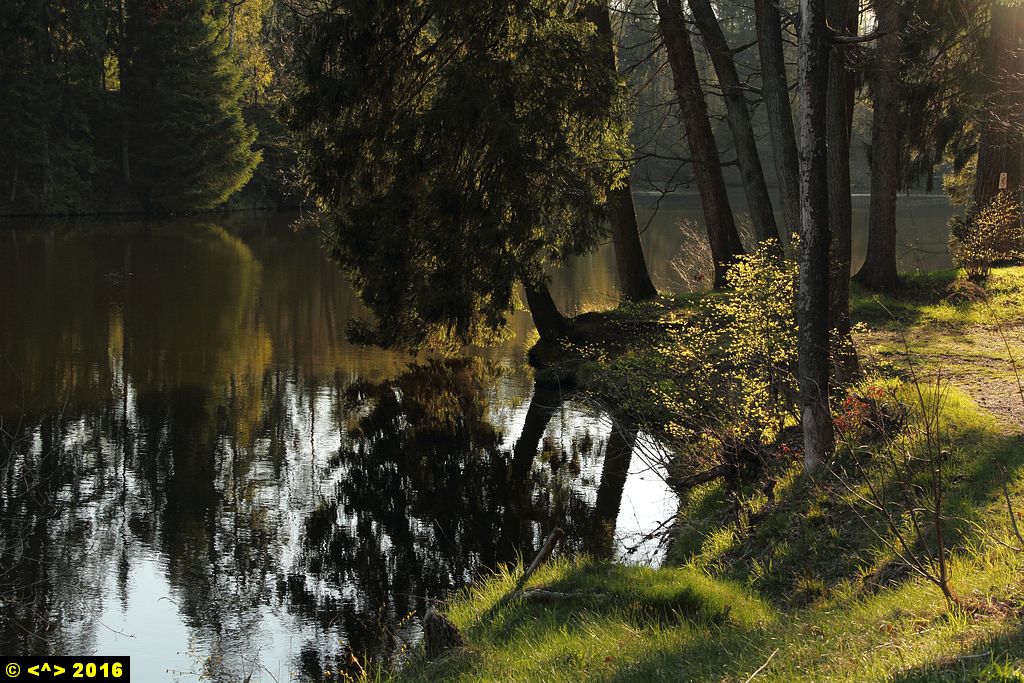 Foto nr: 721