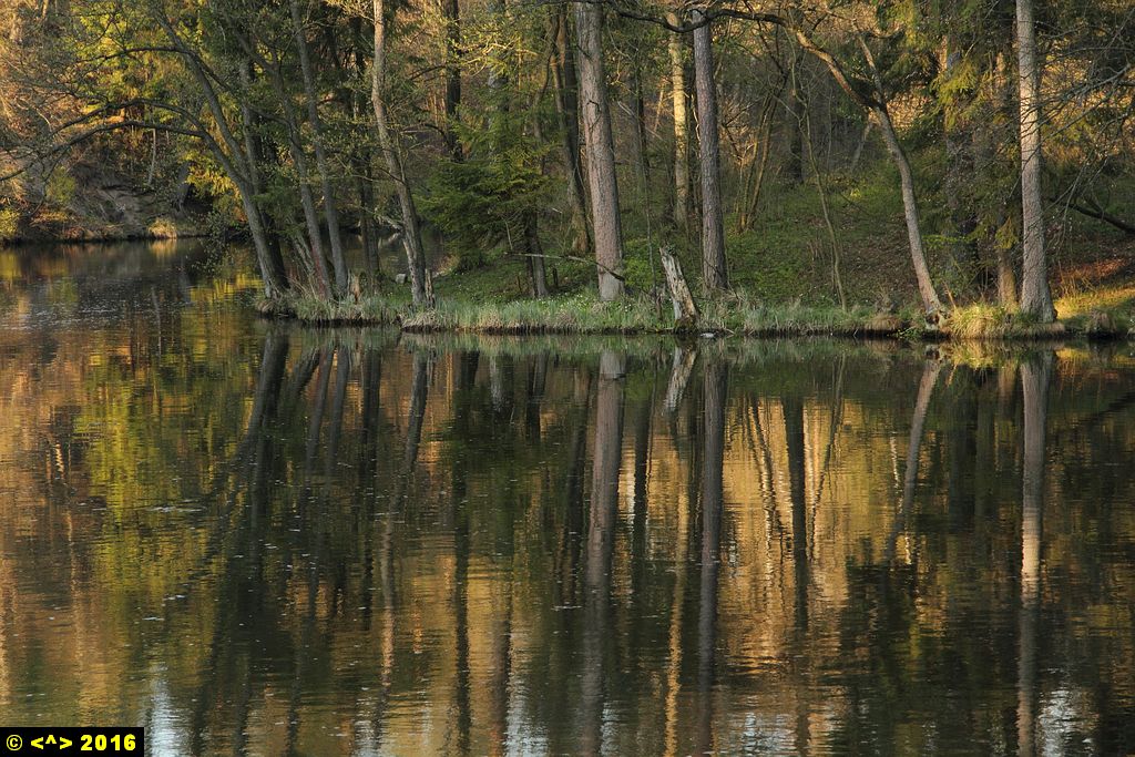 Foto nr: 727