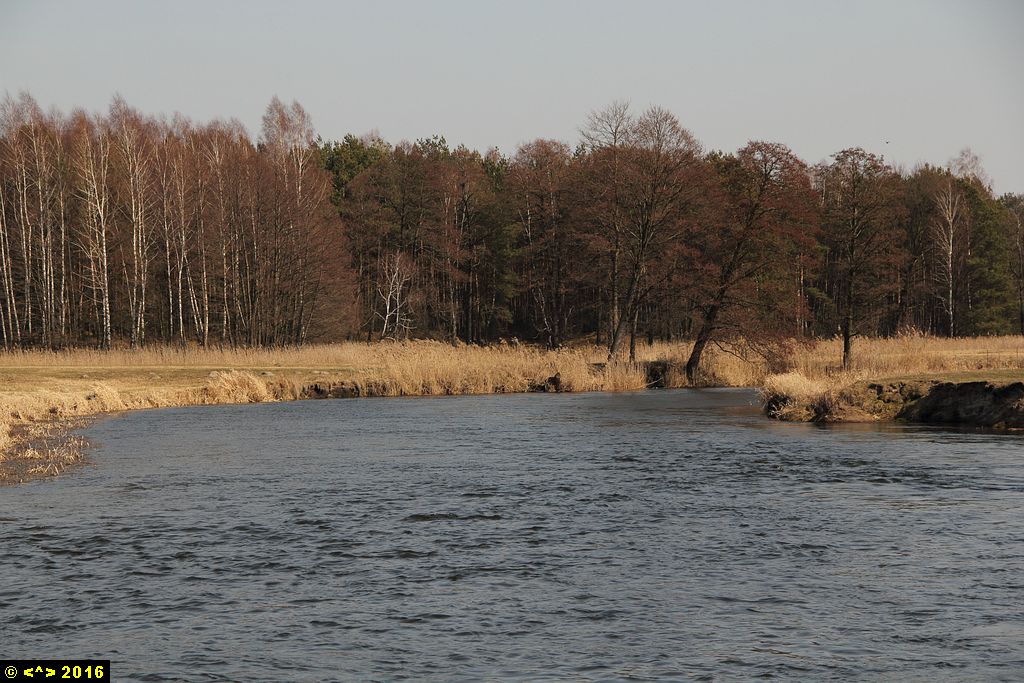 Foto nr: 734