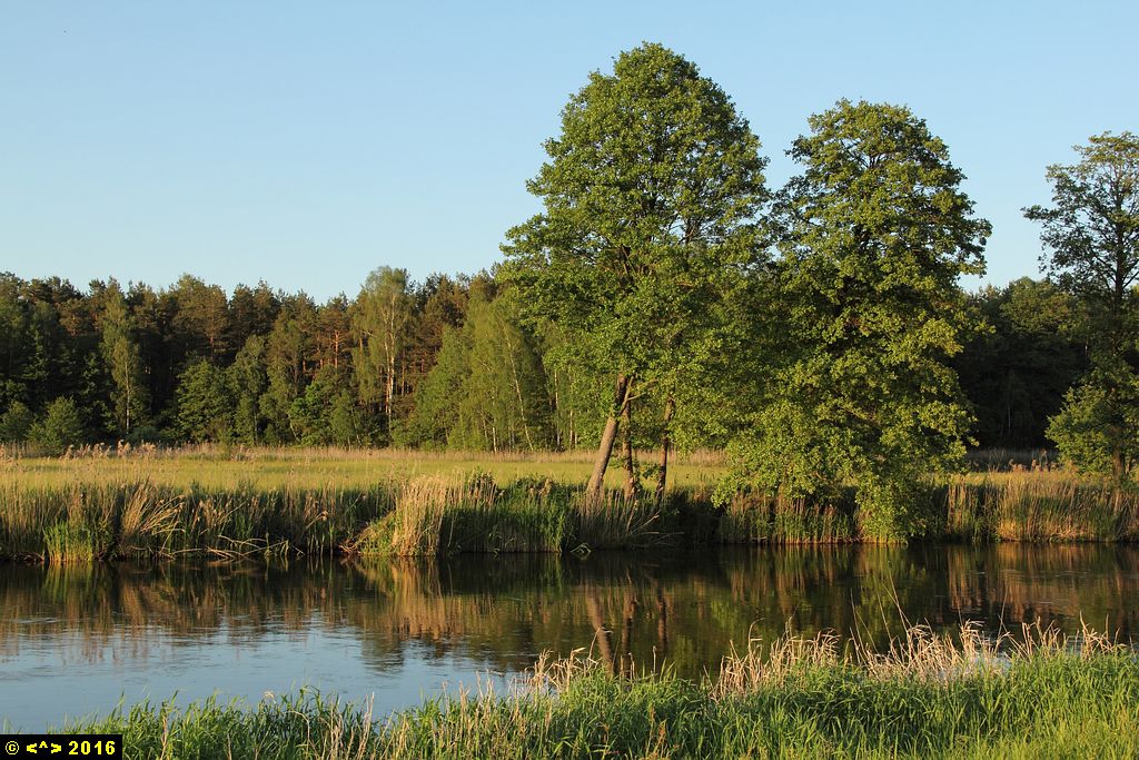 Foto nr: 741