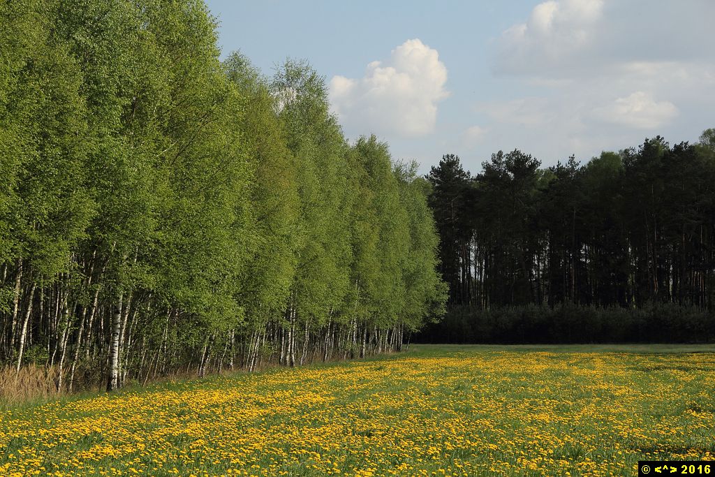 Foto nr: 747
