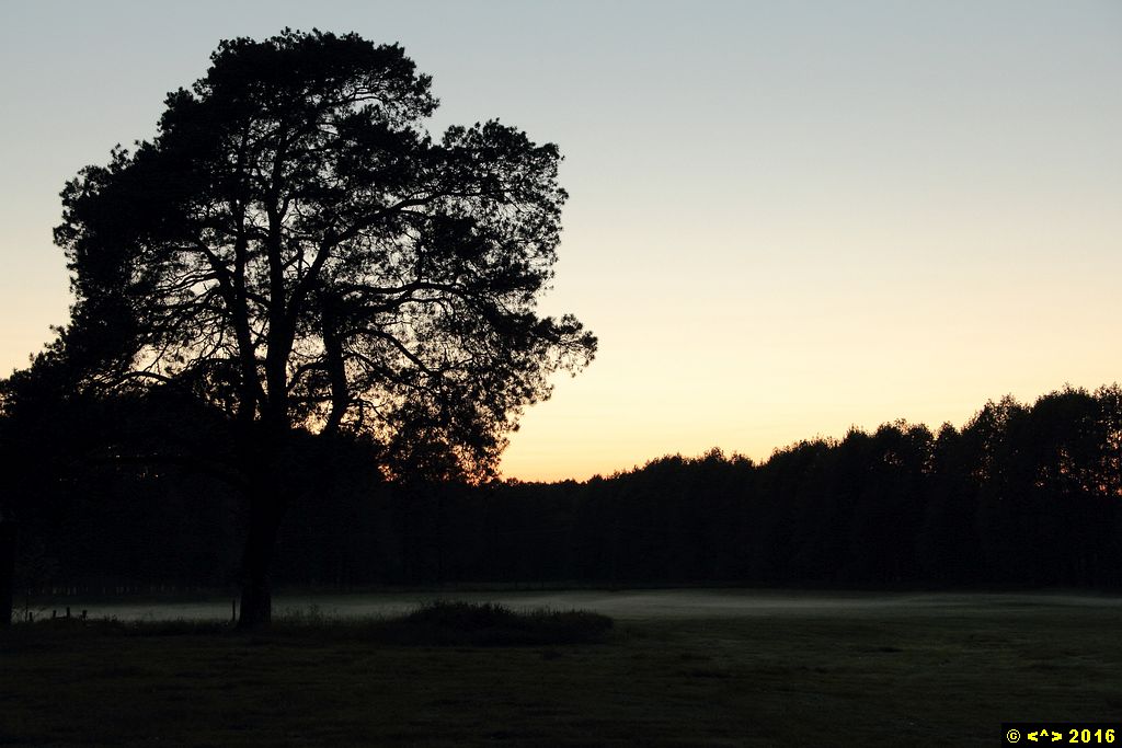 Foto nr: 753