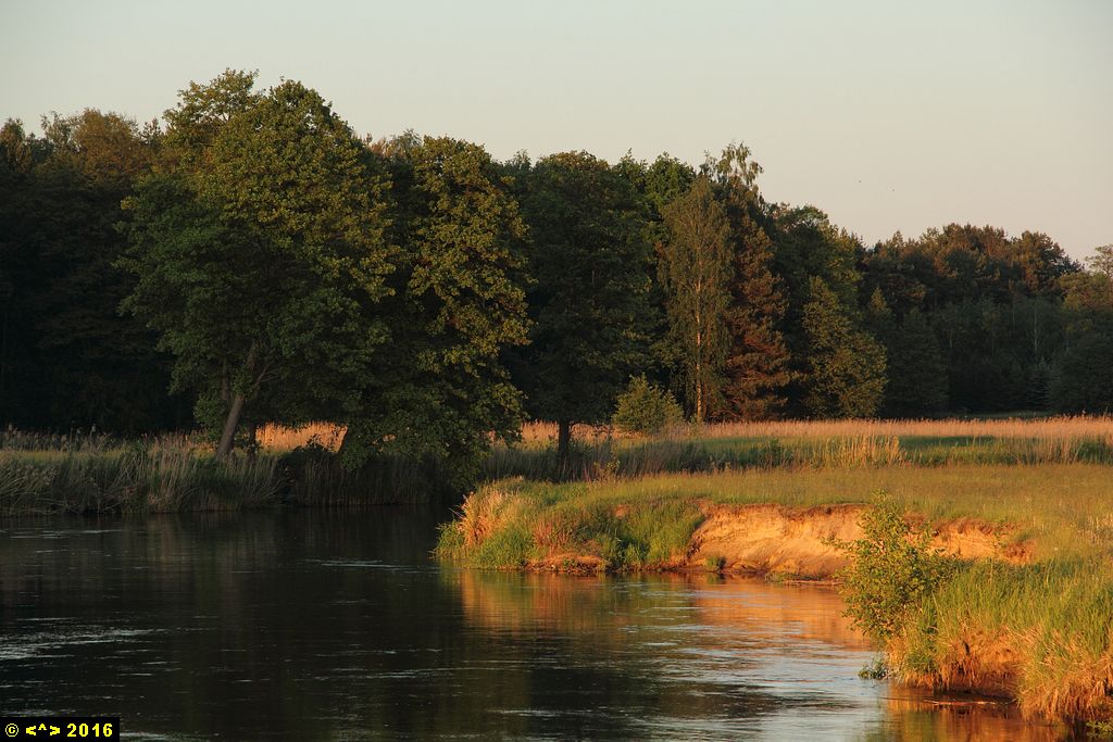 Foto nr: 759