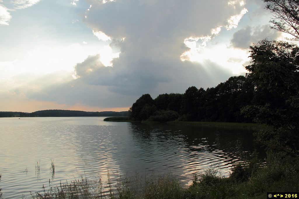 Foto nr: 764